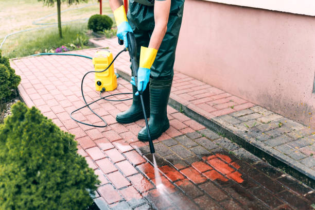 Animal Enclosure Cleaning in Racine, WI